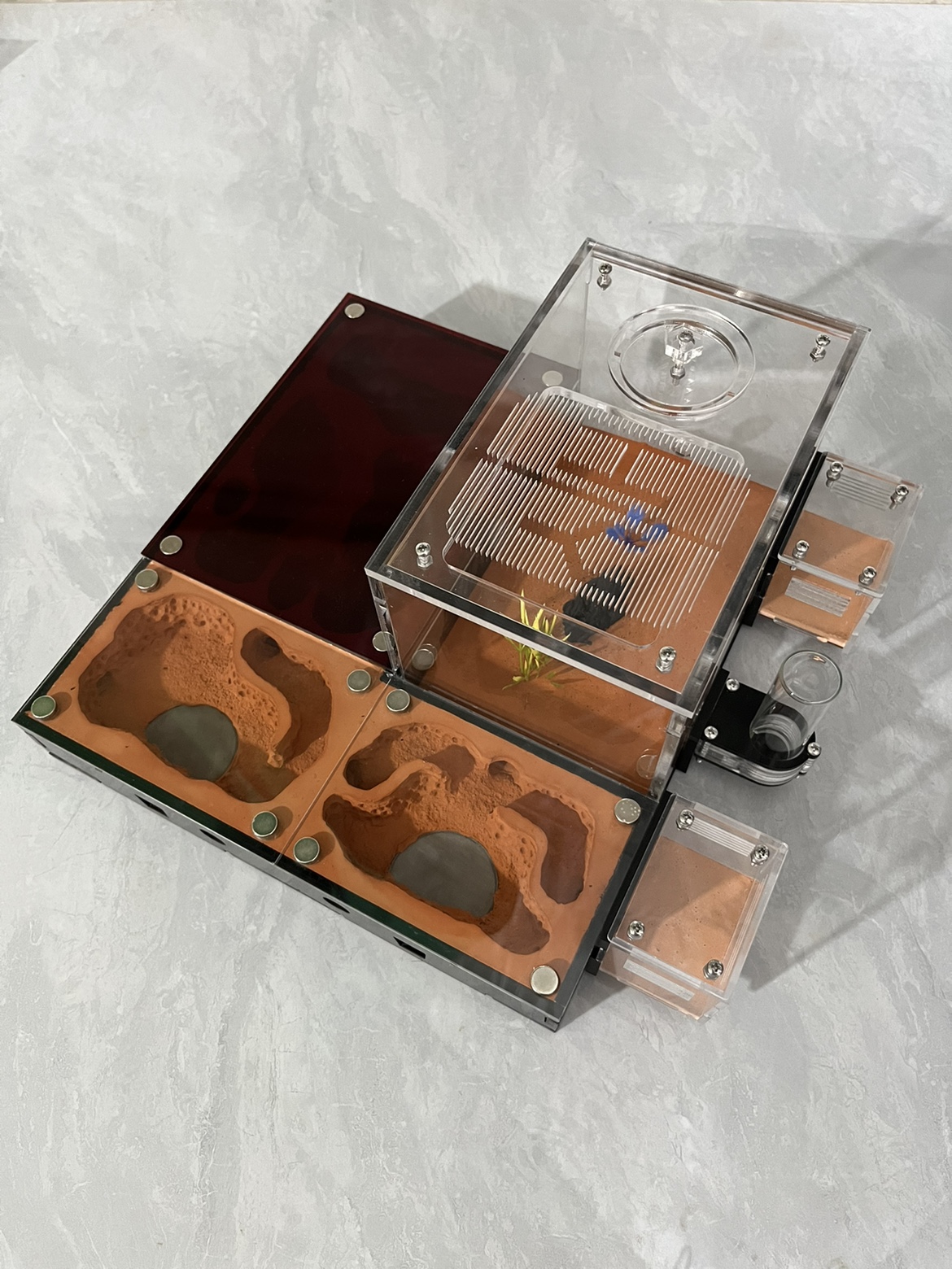Photography Unlimited - Ant Nest Castle Unlimited Expansion Splicing
