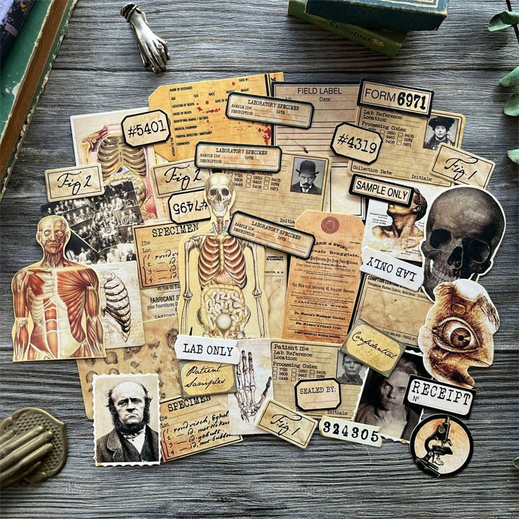 DIY Scrapbooking Vintage Doll  - Photography Journal avaliação e preço