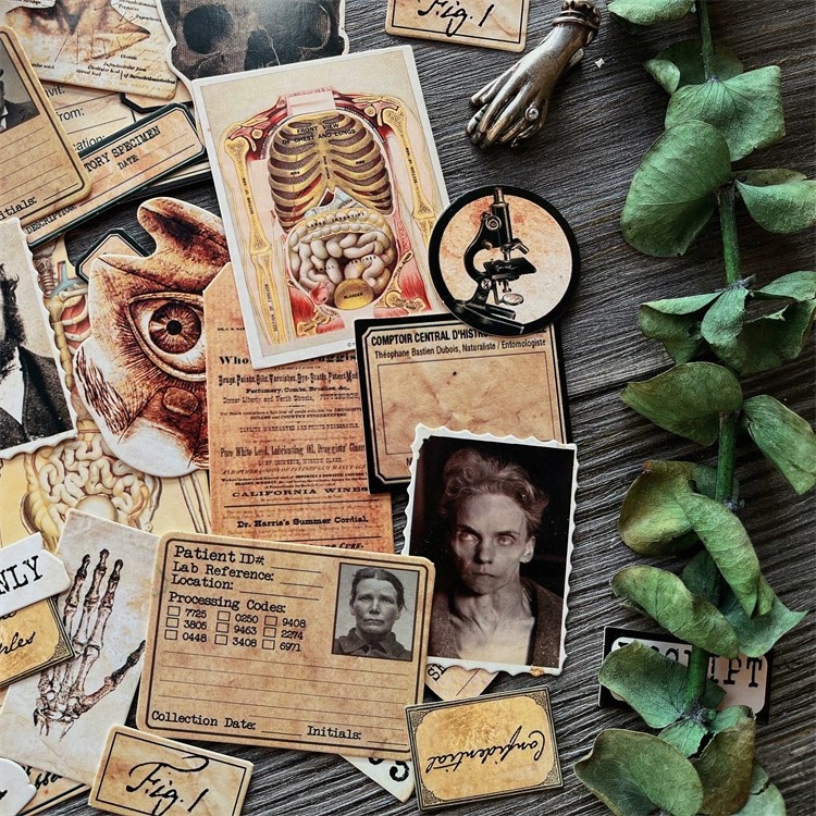 DIY Scrapbooking Vintage Doll  - Photography Journal avaliação e preço