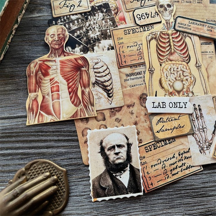 DIY Scrapbooking Vintage Doll  - Photography Journal avaliação e preço